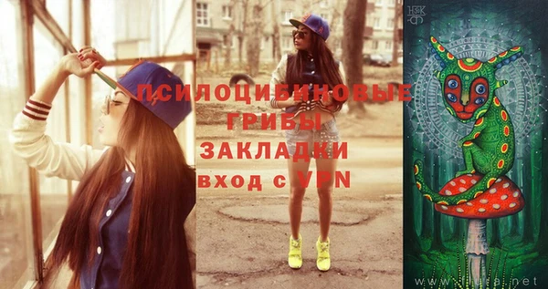 гашик Протвино