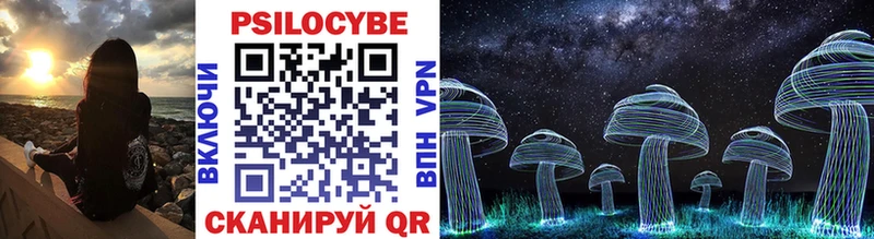 Псилоцибиновые грибы Cubensis  Сорск 