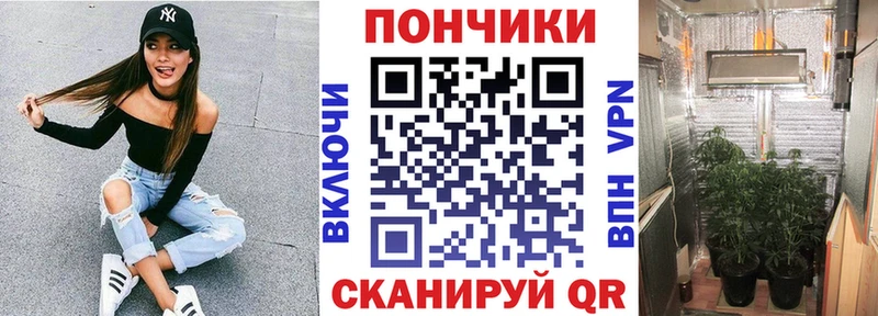 купить наркоту  Сорск  Конопля ГИДРОПОН 